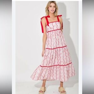 Baevely Boutique Brand Red & Pink Picnic Charcuterie Print Maxi Dress M $75